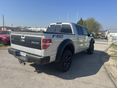 FORD F 150 2013/1 - 13