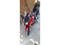 HONDA CBF 600 2006/5 - 6