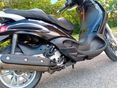 PIAGGIO BEVERLY 500 2004/5 - 3