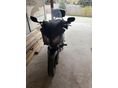 HONDA CBF 600 PC38