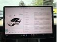 TESLA MODEL 3 2021/6 - 15