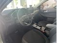 FORD KUGA 2026/6 - 5