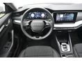 SKODA OCTAVIA 2025/8 - 8