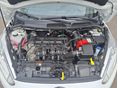 FORD FIESTA 2017/2 - 12