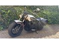 INDIAN SCOUT Sixty
