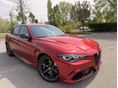 ALFA ROMEO GIULIA 2025/5 - 1