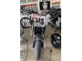 HARLEY-DAVIDSON XR 1200 
