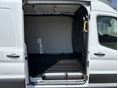 FORD TRANSIT 2023/2 - 11
