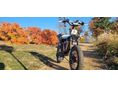 SUR-RON RIDSTAR Q20 PRO