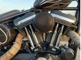 HARLEY-DAVIDSON SPORTSTER 2002 - 3