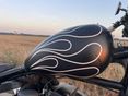 HARLEY-DAVIDSON SPORTSTER 2002 - 11