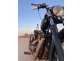 HARLEY-DAVIDSON SPORTSTER 2002 - 12