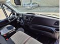 IVECO 35 2021 - 8