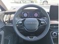 SKODA KODIAQ 2026 - 10