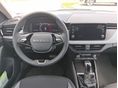 SKODA KAMIQ 2026 - 9