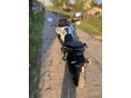 HONDA CB 500 X 2021 - 4