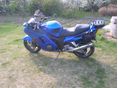 HONDA CBR 1100 XX 
