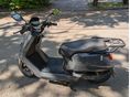 NIU NQI SPORT 2021 - 2
