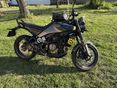 HUSQVARNA SVARTPILEN 401 2024/6 - 4