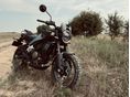 HUSQVARNA SVARTPILEN 401 F130X5
