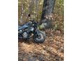 HUSQVARNA SVARTPILEN 401 2024/6 - 11