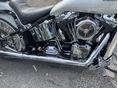 HARLEY-DAVIDSON SOFTAIL 2012/12 - 2