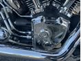 HARLEY-DAVIDSON SOFTAIL 2012/12 - 7