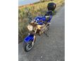 SUZUKI SV 650 N 2005/7 - 12