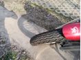 SUZUKI VS 750 (INTRUDER) 1990 - 4