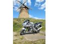 SUZUKI SV 1000 S 2003/7 - 5