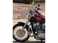 HARLEY-DAVIDSON SPORTSTER LOW
