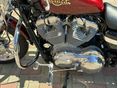 HARLEY-DAVIDSON SPORTSTER 2008/1 - 3