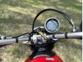 DUCATI SCRAMBLER ICON 2022/5 - 7