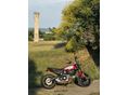 DUCATI SCRAMBLER ICON 2022/5 - 2