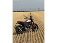 DUCATI SCRAMBLER ICON 