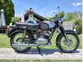 PANNONIA P21 