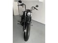 HARLEY-DAVIDSON SOFTAIL 2019/3 - 5