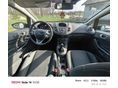 FORD FIESTA 2014/8 - 4