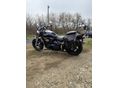 SUZUKI VZ 800 (INTRUDER) 