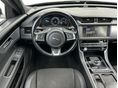 JAGUAR XF 2018/3 - 7