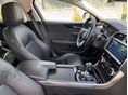 JAGUAR XE 2021/2 - 29