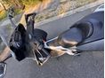 MALAGUTI SPIDERMAX RS 500 2008/3 - 4