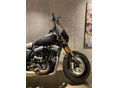 HARLEY-DAVIDSON SPORTSTER Forty-Eight