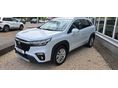 SUZUKI S-CROSS 2023/5 - 2