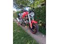 DUCATI MONSTER 2000 - 4