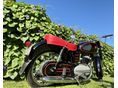 PANNONIA T1 1963 - 7