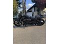 HARLEY-DAVIDSON V-ROD (VRSCA) 