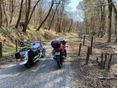 SUZUKI VL 1500 (INTRUDER) 2008/4 - 6