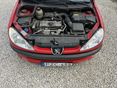 PEUGEOT 206 2004/5 - 13