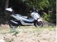 HONDA FORZA 300 